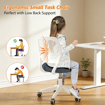 Ergonomic Low-Back Task Chair with Breathable Design